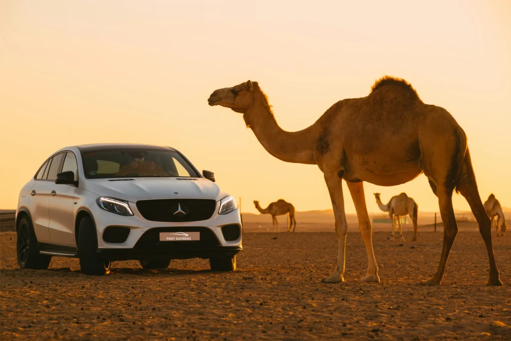 Best Rent a Car in UAE